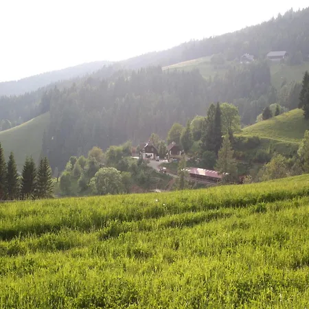 Detached Wooden In Carinthia Near The Simonhoehe Area * Liebenfels
