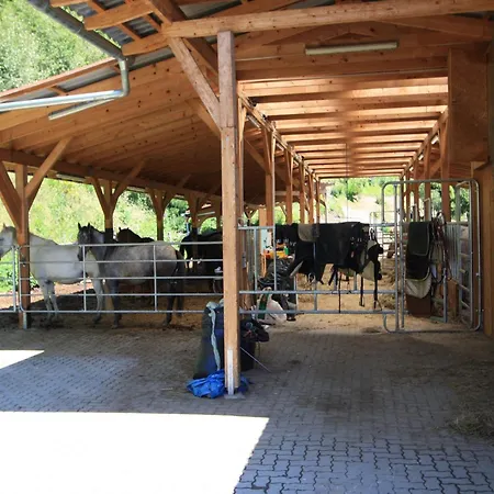 Шале Detached Wooden In Carinthia Near The Simonhoehe Area