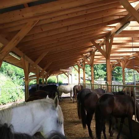 Шале Detached Wooden In Carinthia Near The Simonhoehe Area *