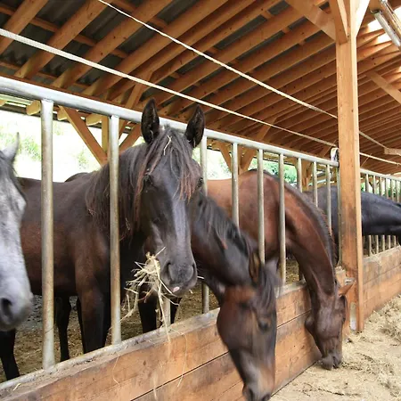 Chalet Detached Wooden In Carinthia Near The Simonhoehe Area