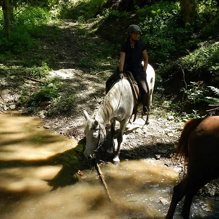 Detached Wooden In Carinthia Near The Simonhoehe Area Шале