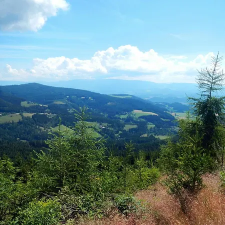 Detached Wooden In Carinthia Near The Simonh He Area Chalet *