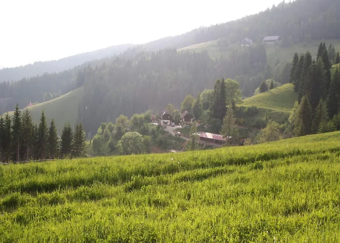 Detached Wooden In Carinthia Near The Simonhoehe Area * Liebenfels