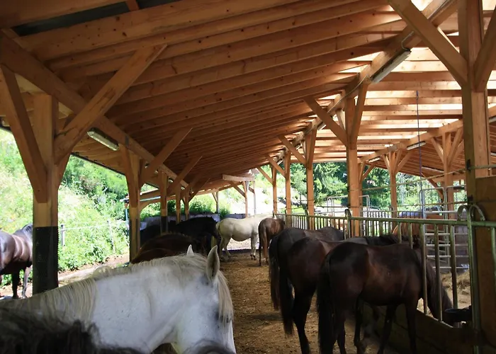 Chalet Detached Wooden In Carinthia Near The Simonhoehe Area *