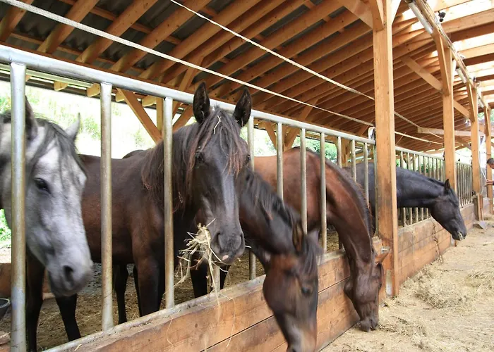 Chalet Detached Wooden In Carinthia Near The Simonhoehe Area