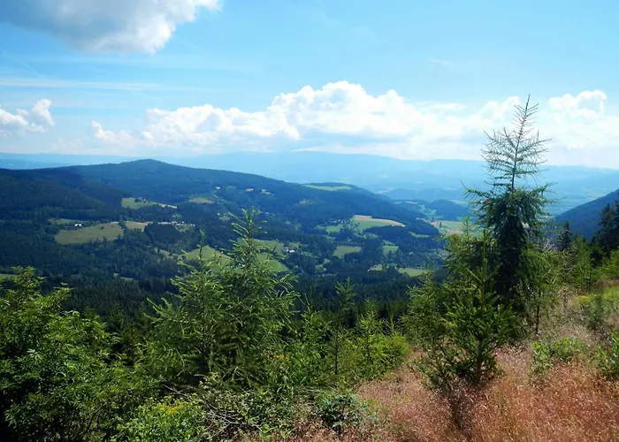 Detached Wooden In Carinthia Near The Simonhoehe Area Chalet *